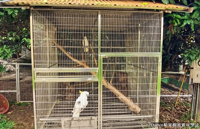 桃園景點|蘇家莊園/免門票好停車日式庭園造景萬坪動物莊園(菜單)