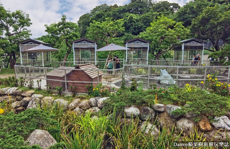 桃園景點|蘇家莊園/免門票好停車日式庭園造景萬坪動物莊園(菜單)