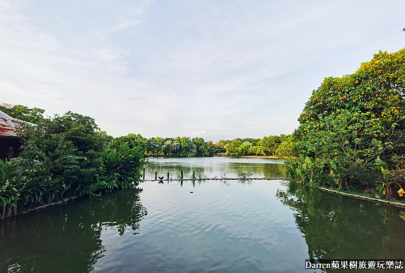 桃園八德埤塘自然生態公園|桃園親子景點野餐看小動物附近景點美食交通