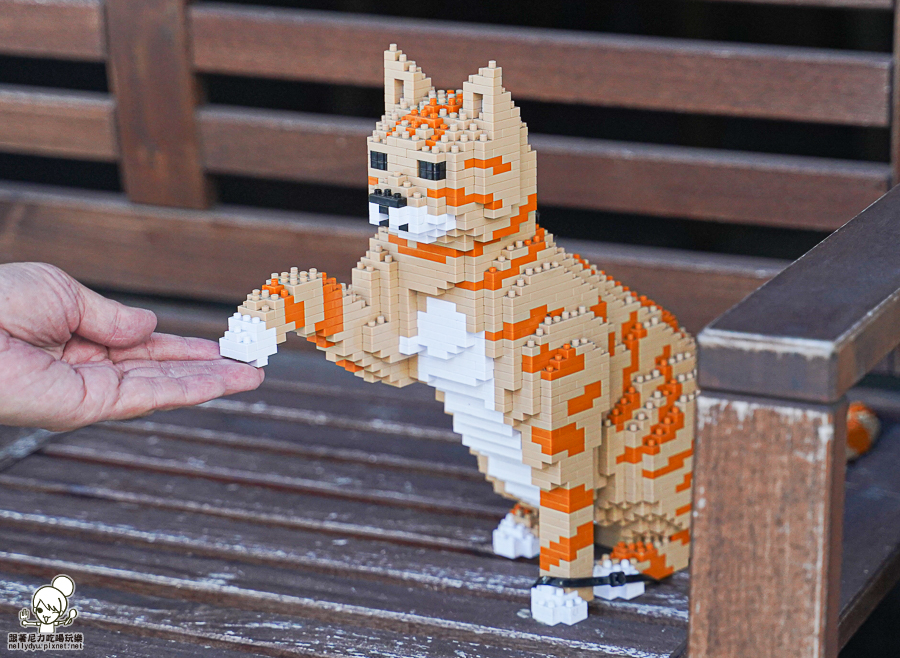 寵物友善 貓咪餐廳 港點 港式 香港人 好吃 高雄美食 港點必吃 甜點 港式蛋塔