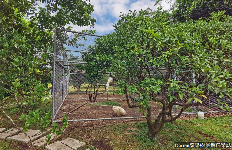 桃園景點|蘇家莊園/免門票好停車日式庭園造景萬坪動物莊園(菜單)