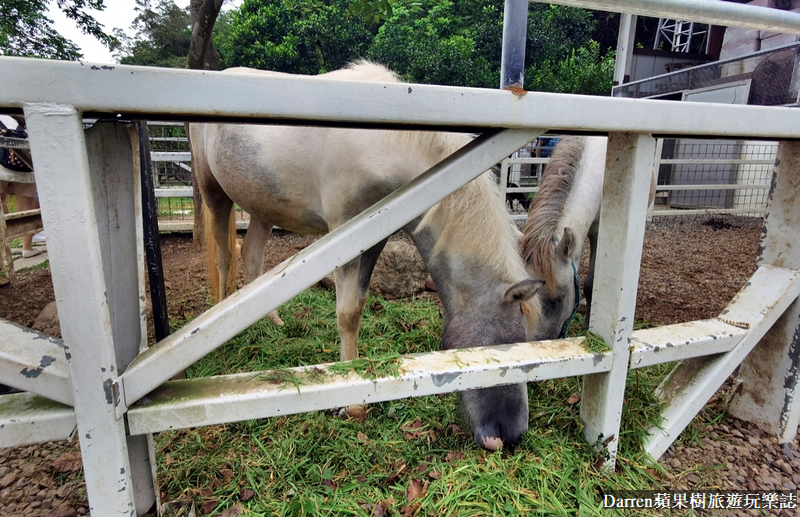 桃園景點|蘇家莊園/免門票好停車日式庭園造景萬坪動物莊園(菜單)