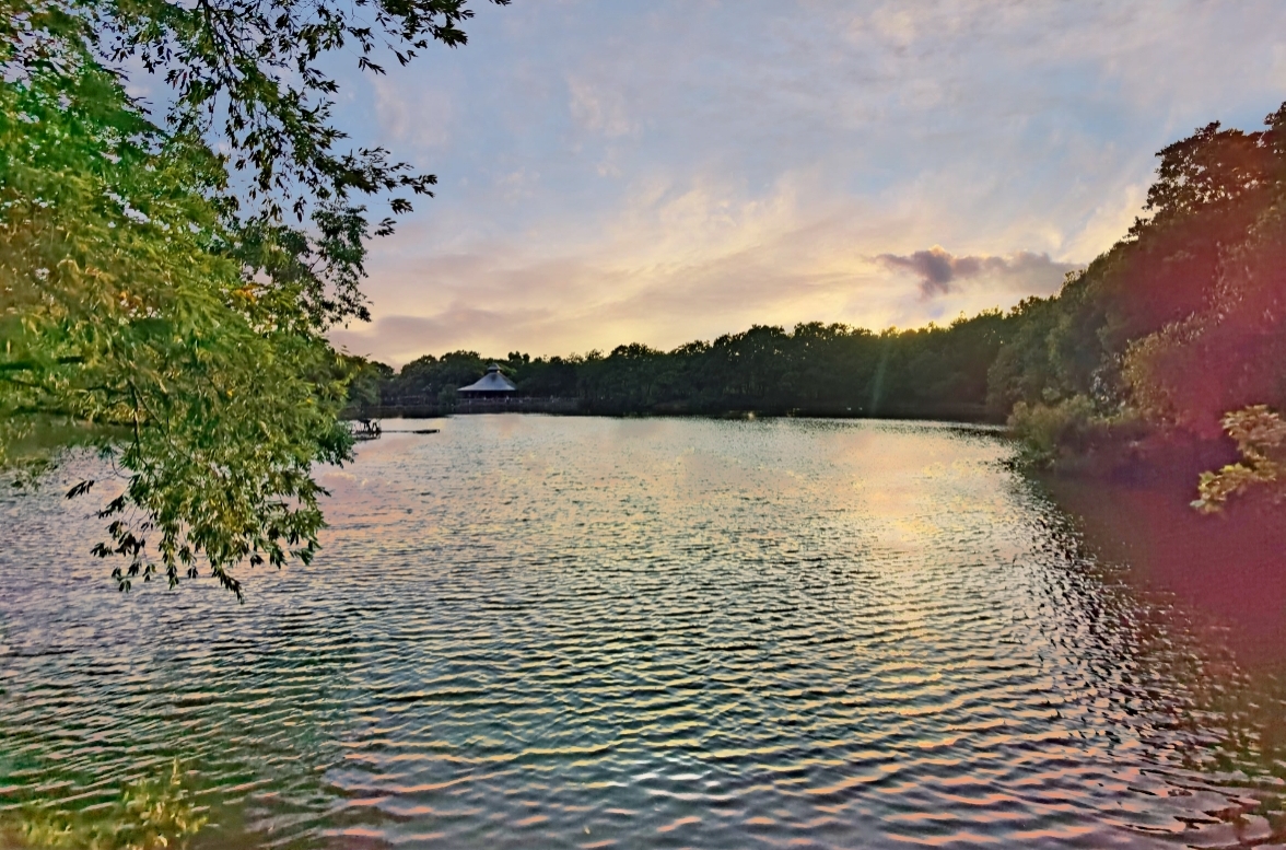 桃園八德埤塘自然生態公園|桃園親子景點野餐看小動物附近景點美食交通