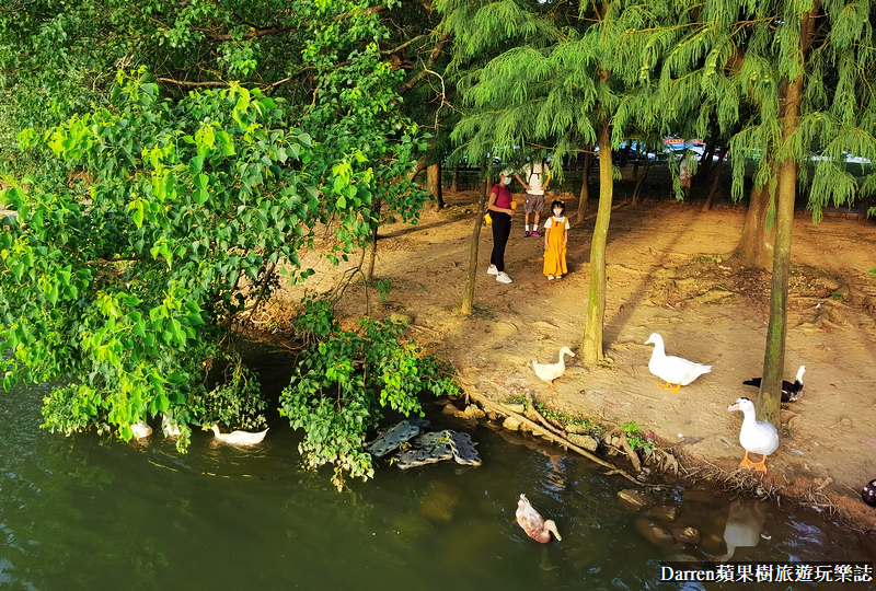 桃園八德埤塘自然生態公園|桃園親子景點野餐看小動物附近景點美食交通