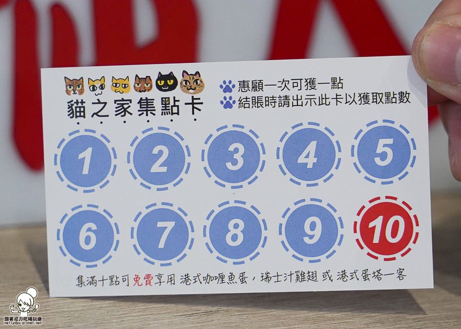 寵物友善 貓咪餐廳 港點 港式 香港人 好吃 高雄美食 港點必吃 甜點 港式蛋塔