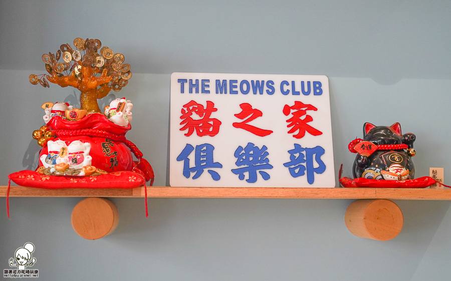 寵物友善 貓咪餐廳 港點 港式 香港人 好吃 高雄美食 港點必吃 甜點 港式蛋塔