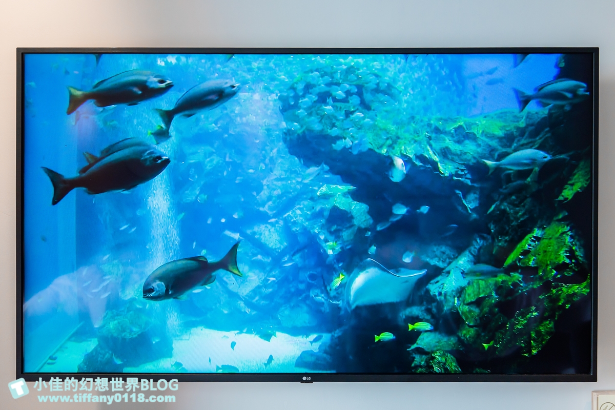 [桃園住宿]COZZI Blu和逸飯店桃園館/全台首間五星級海洋主題飯店/Xpark、新光影城、華泰名品城outlet緊鄰在旁