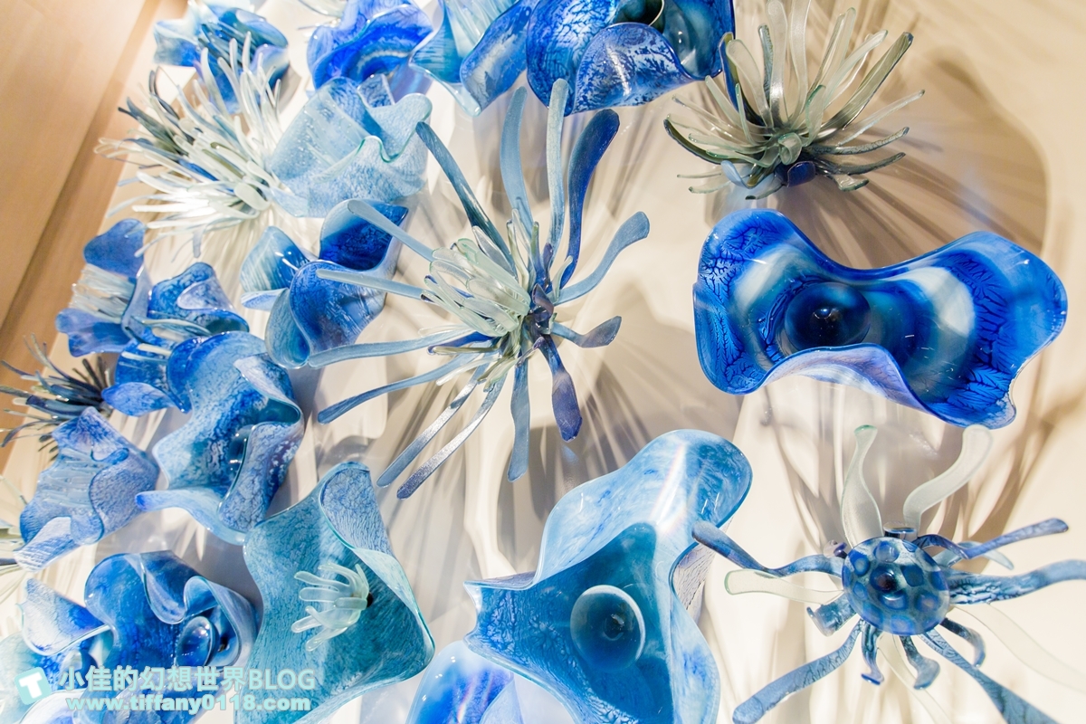 [桃園住宿]COZZI Blu和逸飯店桃園館/全台首間五星級海洋主題飯店/Xpark、新光影城、華泰名品城outlet緊鄰在旁