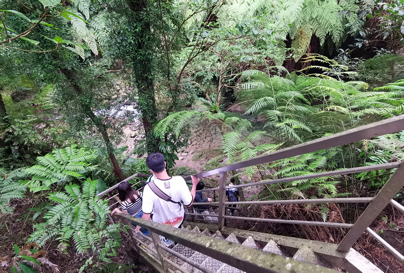 桃園北橫探險節|鑫園馬告咖啡烘豆體驗/高遶溪古圳步道一日遊行程