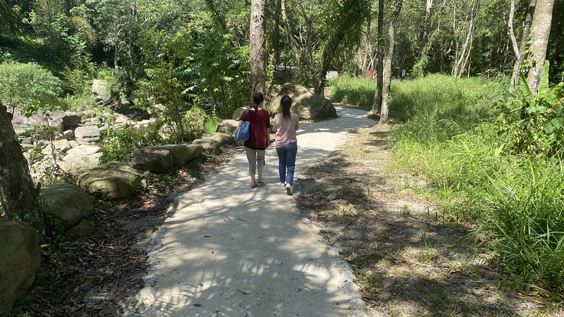 桃園北橫探險節|鑫園馬告咖啡烘豆體驗/高遶溪古圳步道一日遊行程