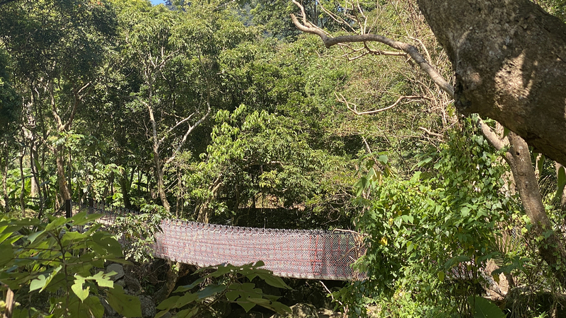 桃園北橫探險節|鑫園馬告咖啡烘豆體驗/高遶溪古圳步道一日遊行程