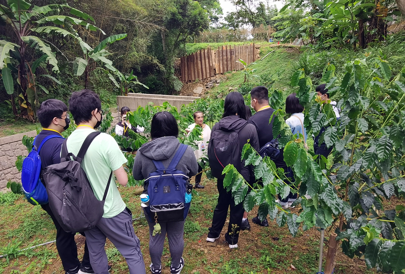 桃園北橫探險節|鑫園馬告咖啡烘豆體驗/高遶溪古圳步道一日遊行程