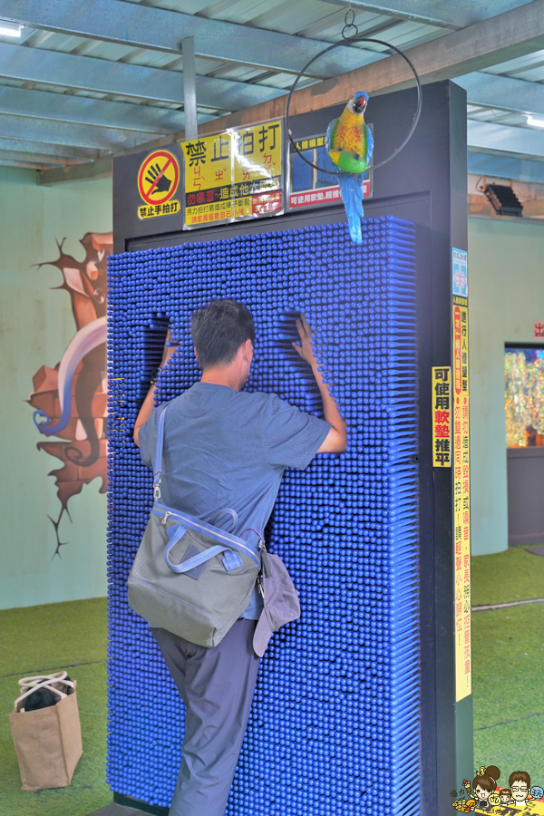 台中景點 台灣旅遊 台中旅遊 親子 親子旅遊 互動 兒童 玩樂 網美拍照 景點 夢幻 歐洲 耶誕