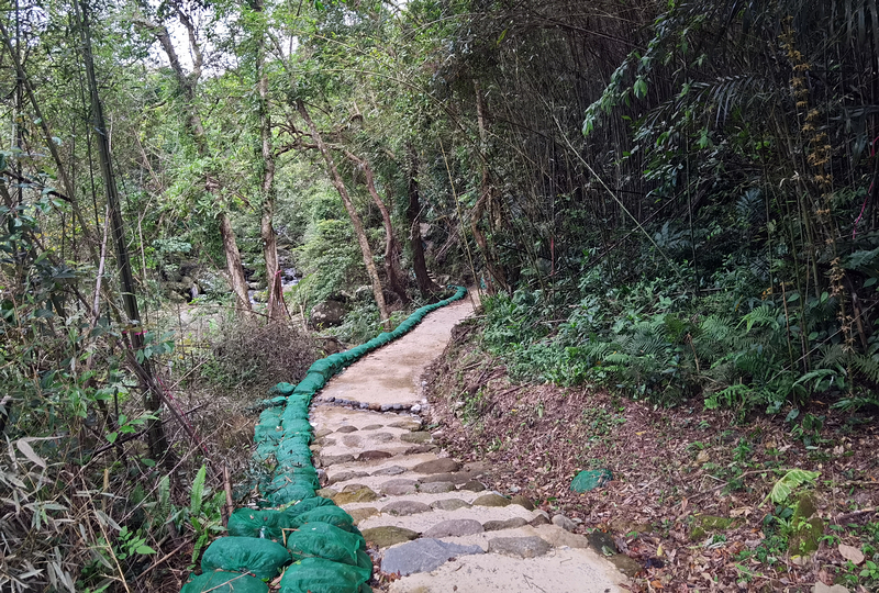 桃園北橫探險節|鑫園馬告咖啡烘豆體驗/高遶溪古圳步道一日遊行程