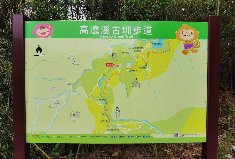 桃園北橫探險節|鑫園馬告咖啡烘豆體驗/高遶溪古圳步道一日遊行程