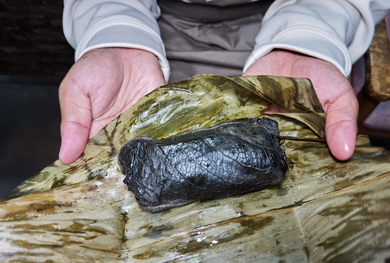 桃園北橫探險節|鑫園馬告咖啡烘豆體驗/高遶溪古圳步道一日遊行程