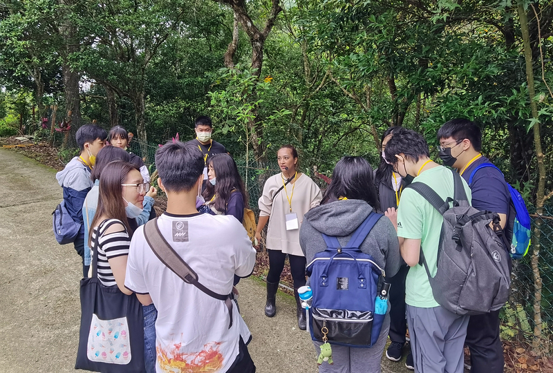 桃園北橫探險節|鑫園馬告咖啡烘豆體驗/高遶溪古圳步道一日遊行程