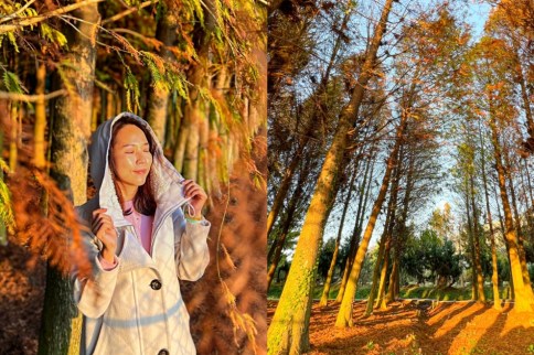 【台中外埔】落羽松秘境夢幻如畫，外埔神秘的貨櫃咖啡莊園「ST workshop手作烘焙坊」，咖啡和吐司搭配無敵美景值得一訪