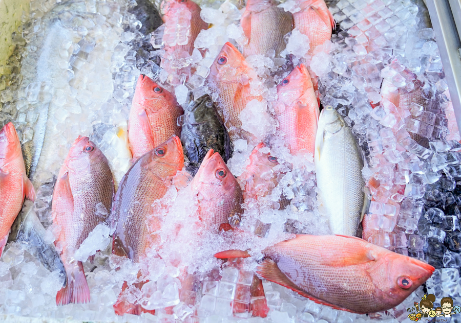 邱家生魚片 墾丁 恆春 百元生魚片 好吃 便宜 必吃 推薦 老店 老字號 