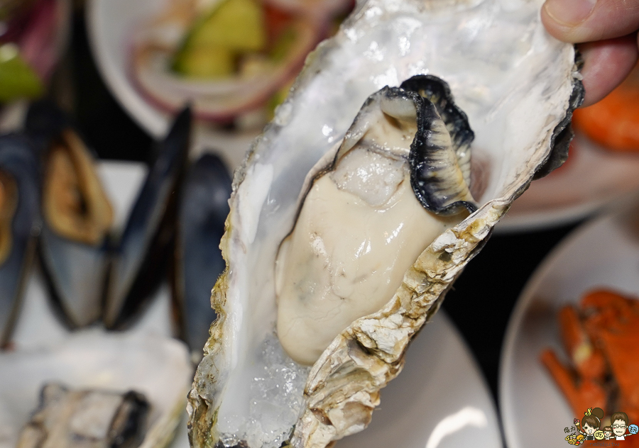 排餐 美食 約會 慶生 Ripple 義法西餐廳 吃到飽 高雄