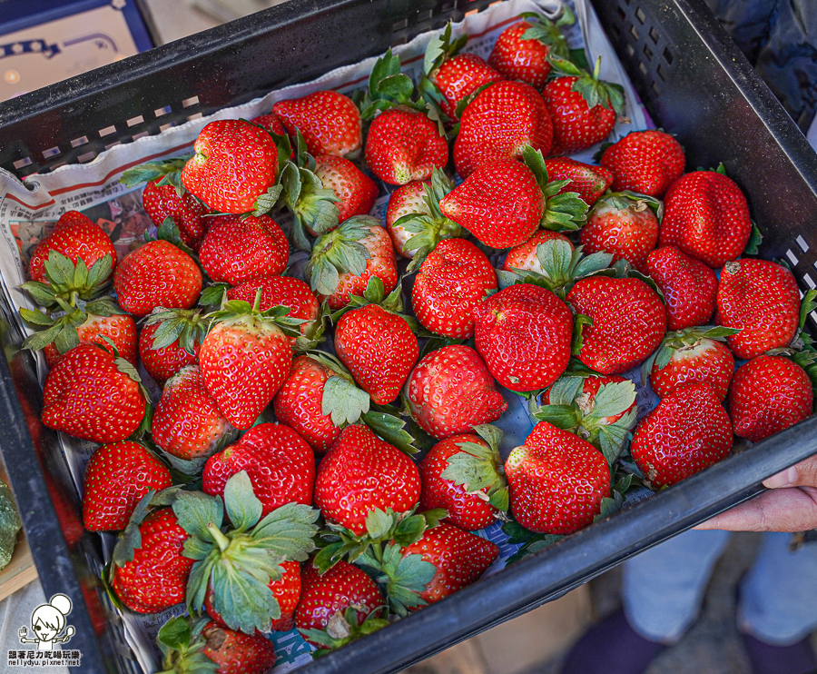 高雄伴手禮 春節禮盒 伴手禮 宅配 高雄美食 高雄團購 手工 麻糬 大福 草莓 限定