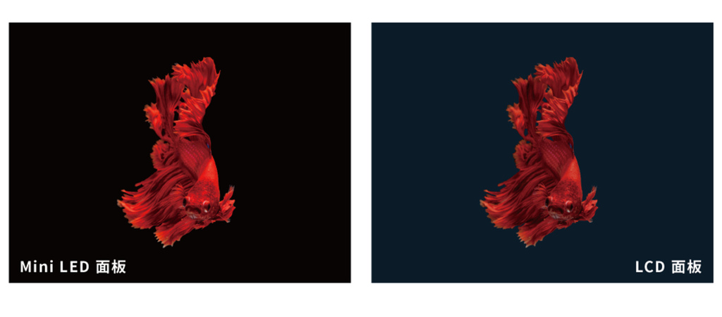 2022-12-07_093604.jpg 2022-12-07_093604.jpg