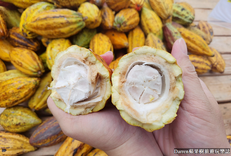 南投景點 埔里景點 妮娜巧克力夢想城堡 IG景點 美拍景點