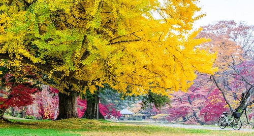 316686581_472414731661404_1350433651962414784_n