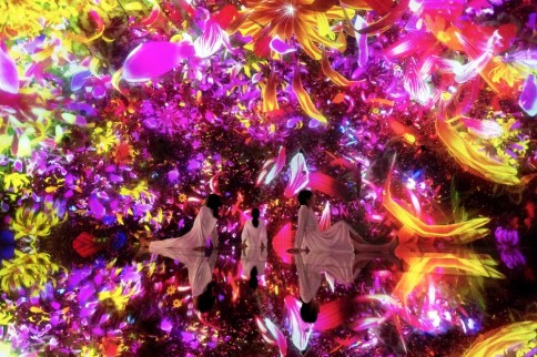 【東京豐洲】teamLab Planets TOKYO：新型態光影美術展，行前＆周邊順遊建議