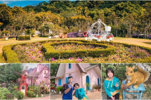 【雲林古坑】蘿莎玫瑰山莊(免門票景點)浪漫雙心花園、植物迷宮，6000坪園區賞花趣！