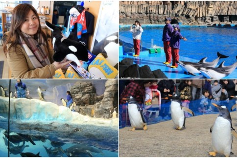 【名古屋景點】名古屋港水族館:海豚虎鯨小白鯨超可愛,看企鵝走路好療癒! 【名古屋景點】名古屋港水族館:海豚虎鯨小白鯨超可愛,看企鵝走路好療癒!