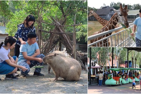 台南｜頑皮世界野生動物園攻略：爆萌水豚君＆長頸鹿互動零距離，優惠門票交通建議