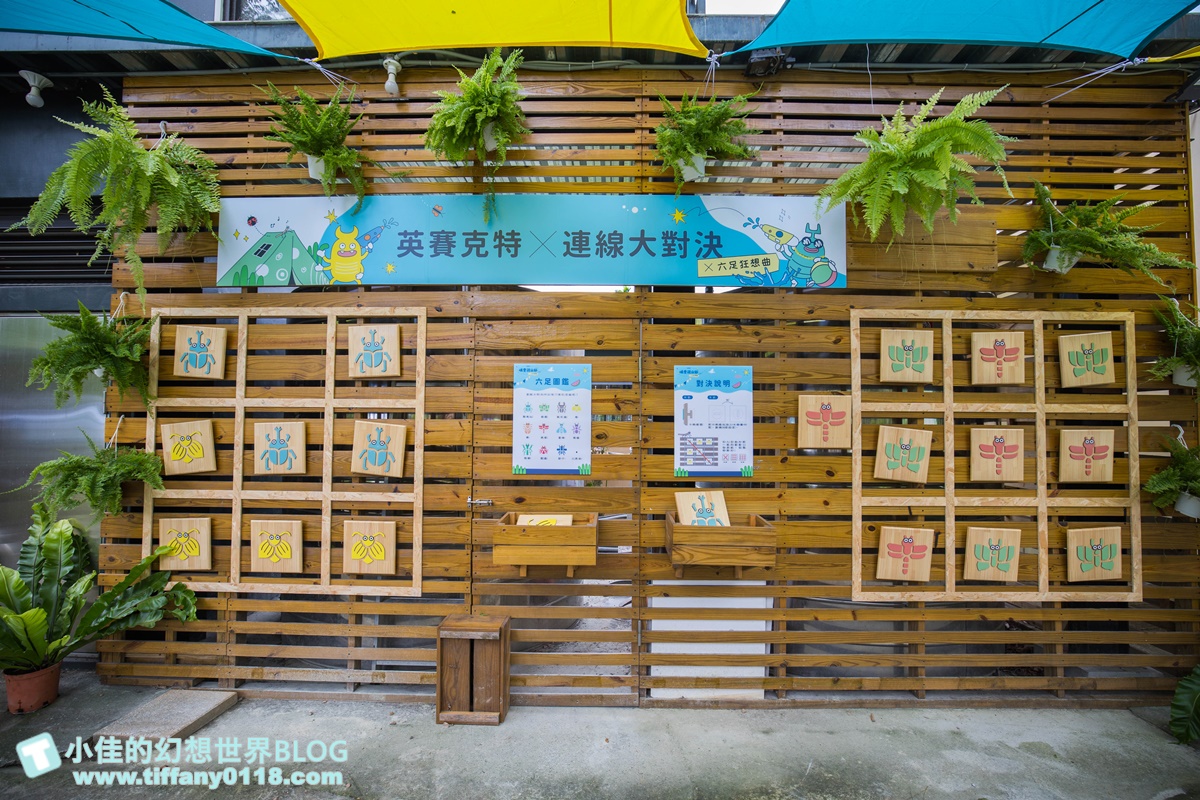 2023埔里親水節(免門票)/戲水活動、生態體驗課程、音樂表演超豐富/免費親子戲水景點推薦