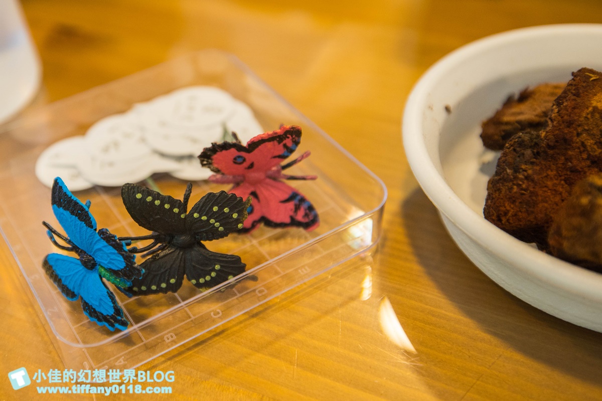 2023埔里親水節(免門票)/戲水活動、生態體驗課程、音樂表演超豐富/免費親子戲水景點推薦