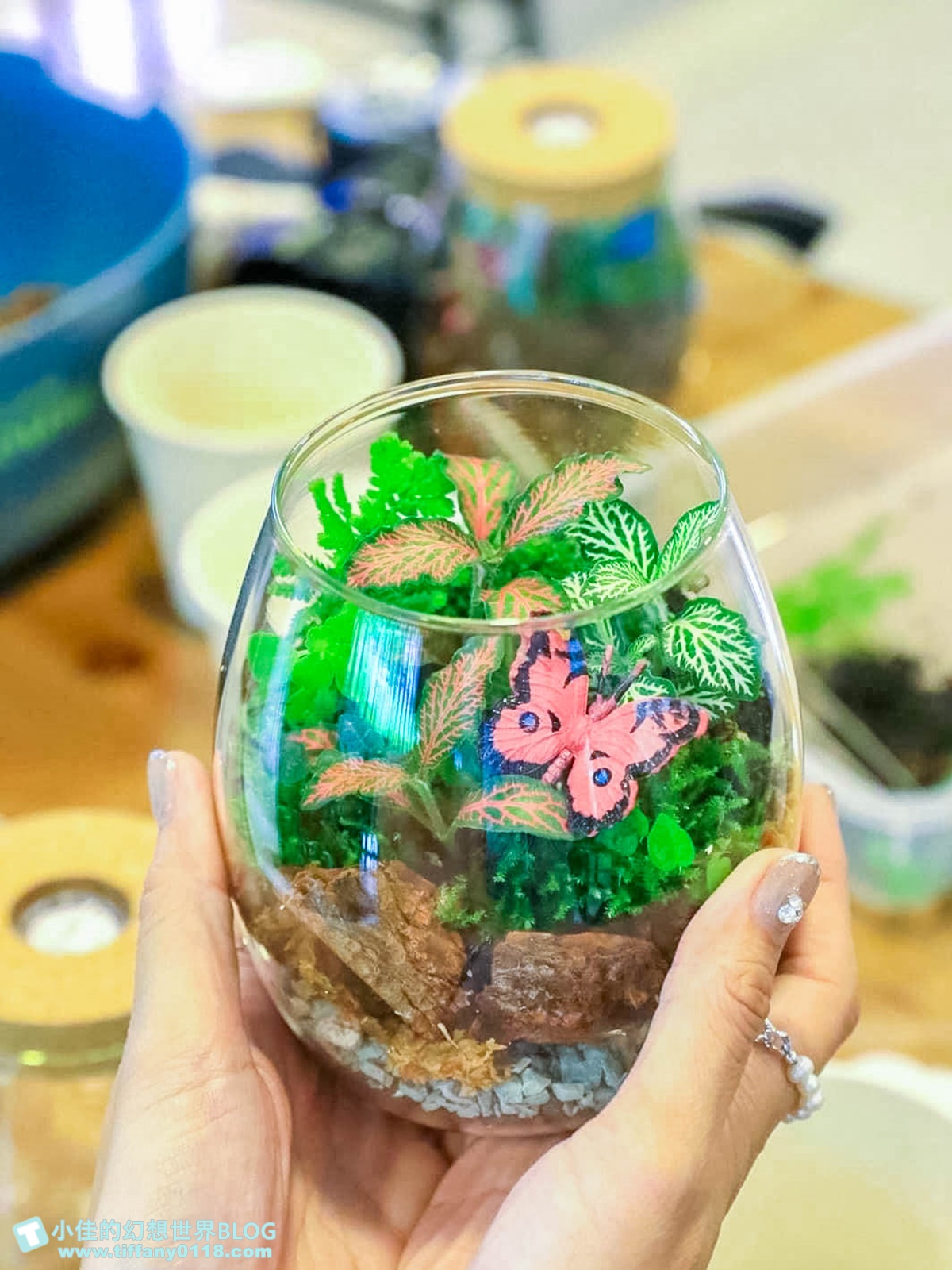 2023埔里親水節(免門票)/戲水活動、生態體驗課程、音樂表演超豐富/免費親子戲水景點推薦