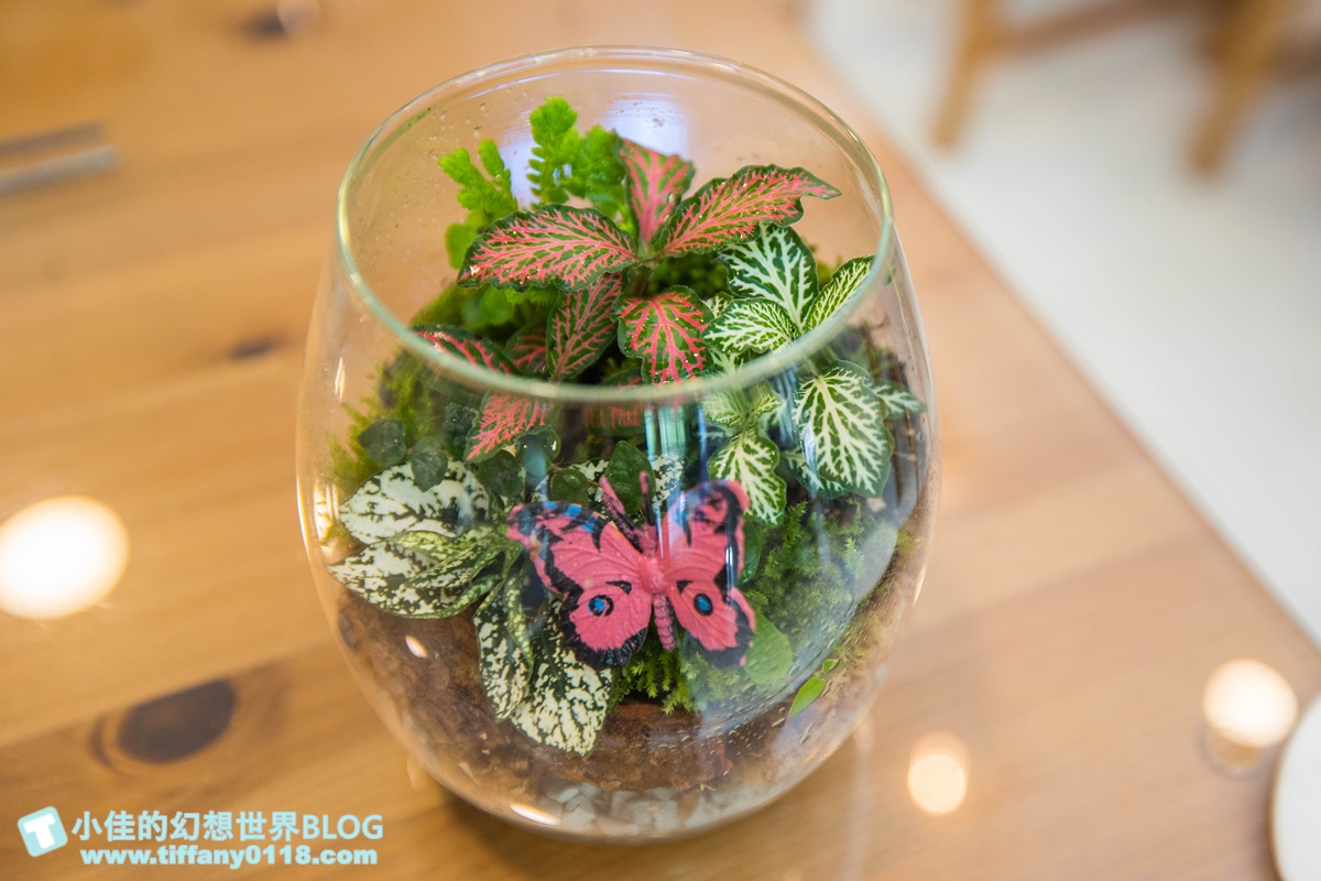 2023埔里親水節(免門票)/戲水活動、生態體驗課程、音樂表演超豐富/免費親子戲水景點推薦