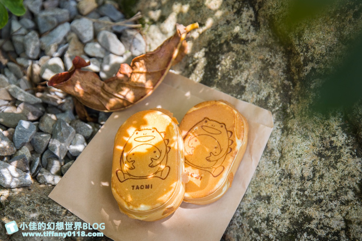 2023埔里親水節(免門票)/戲水活動、生態體驗課程、音樂表演超豐富/免費親子戲水景點推薦