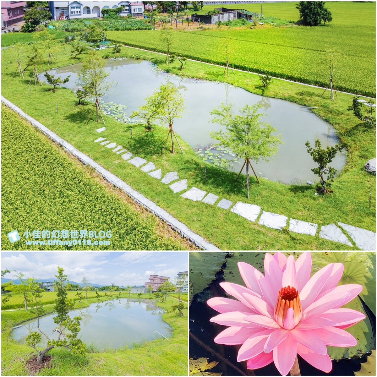 [宜蘭民宿]稻禾綠洲/稻田圍繞還有生態池貼近大自然/附下午茶超愜意/宜蘭民宿推薦