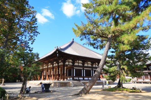 【奈良景點】唐招提寺：奈良世界文化遺產千年古寺，唐代金堂鼓樓＆交通門票必看重點