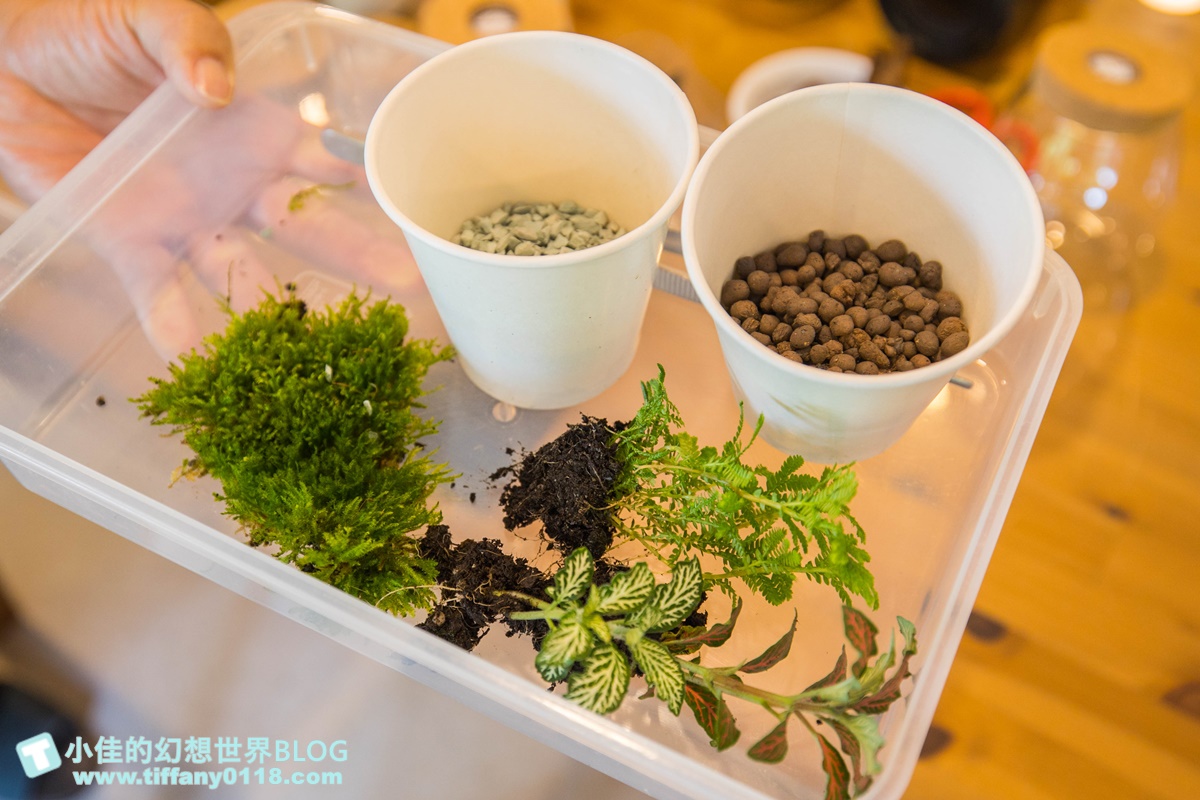 2023埔里親水節(免門票)/戲水活動、生態體驗課程、音樂表演超豐富/免費親子戲水景點推薦