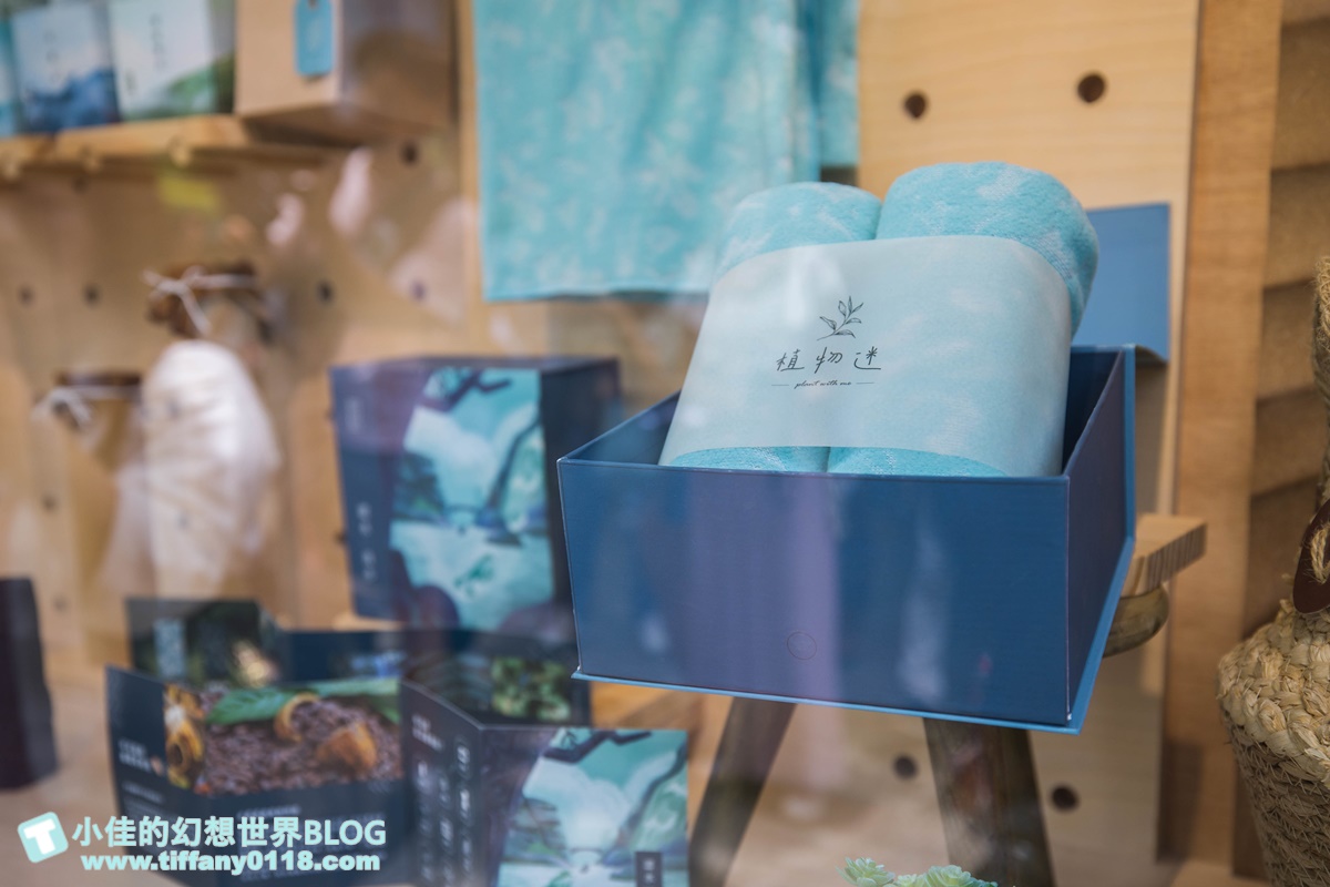 2023埔里親水節(免門票)/戲水活動、生態體驗課程、音樂表演超豐富/免費親子戲水景點推薦