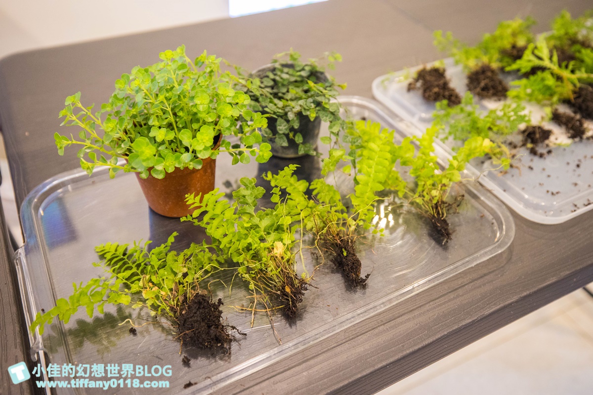 2023埔里親水節(免門票)/戲水活動、生態體驗課程、音樂表演超豐富/免費親子戲水景點推薦