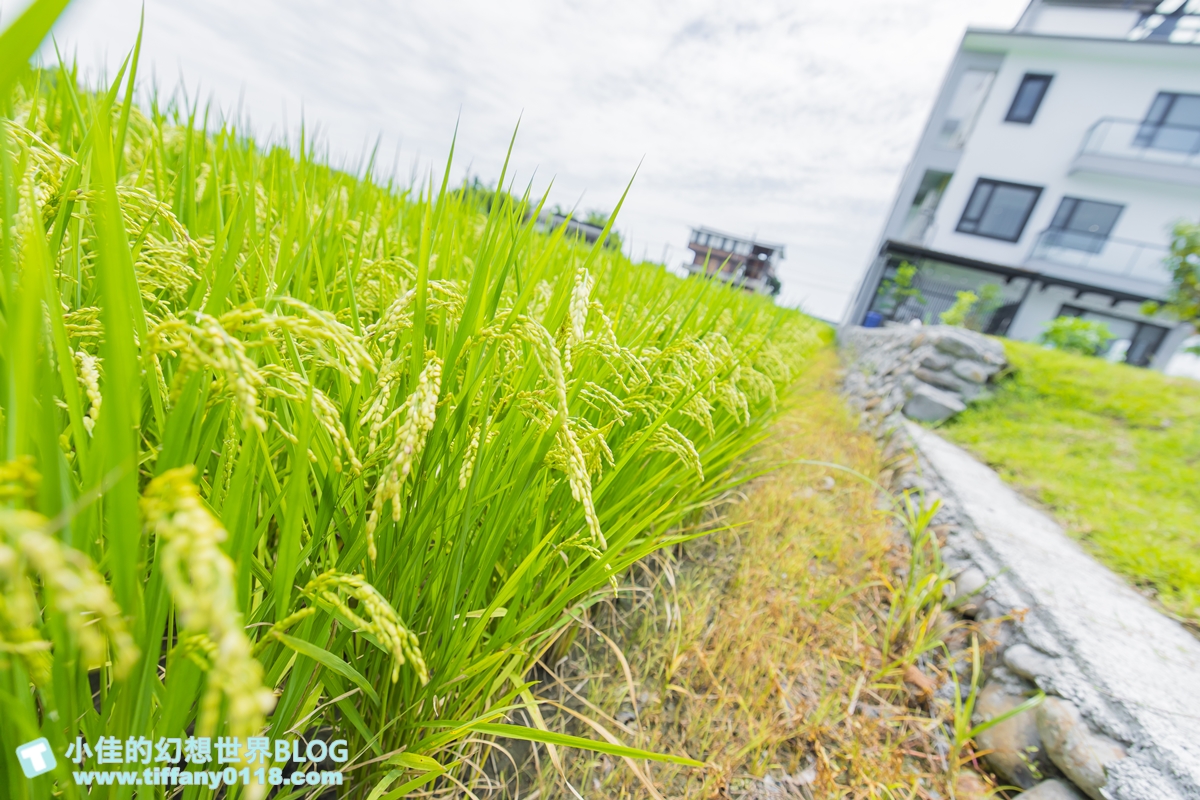 [宜蘭民宿]稻禾綠洲/稻田圍繞還有生態池貼近大自然/附下午茶超愜意/宜蘭民宿推薦