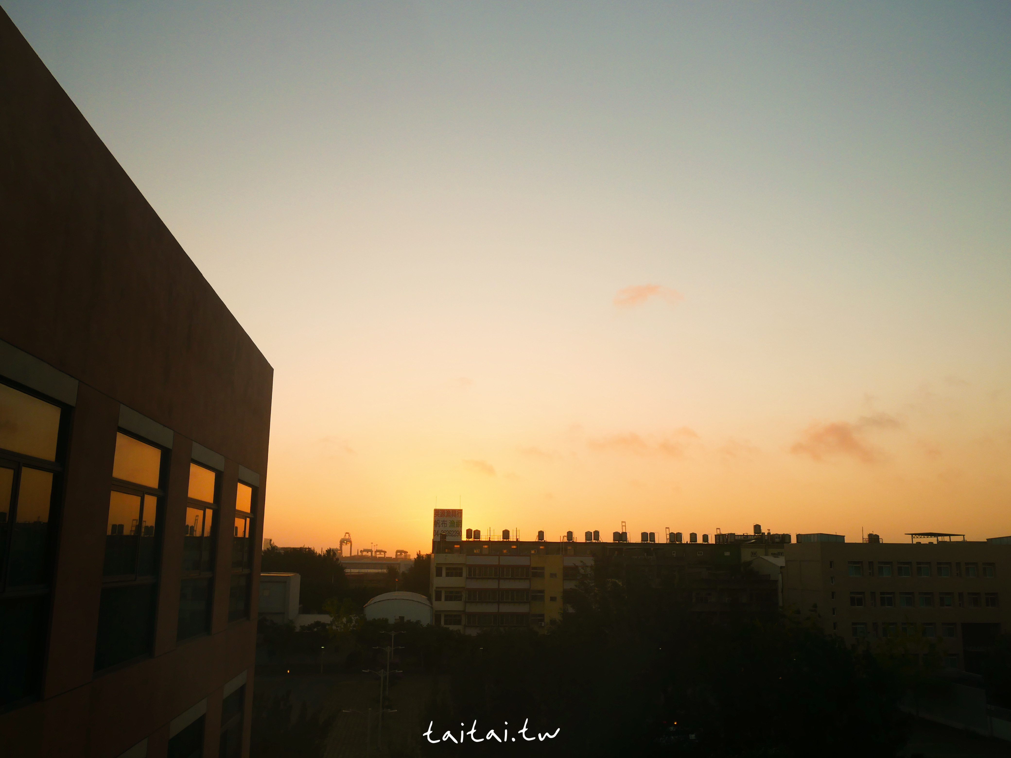 台中震大金鬱金香酒店