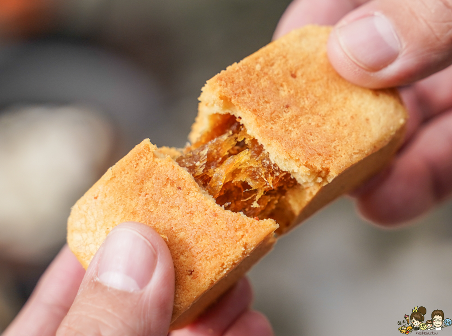 旺萊山 旺萊山鳳梨酥 嘉義伴手禮 台灣有個阿里山嘉義有個旺萊山 民雄 免費試吃
