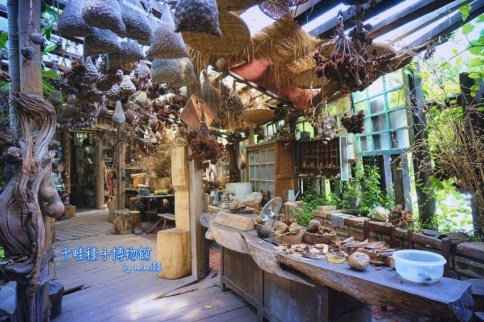 【台南景點】千畦種子博物館(要預約)：走進屬於種子的奇妙世界，感受這些身邊被遺忘的美好~