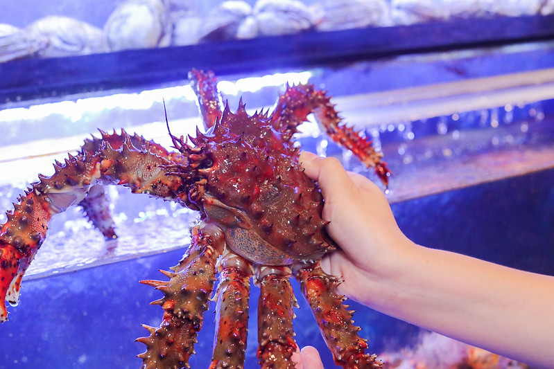 高雄｜覓奇頂級日本料理／鄰近高雄港埠旅運中心亞洲新灣區美食餐