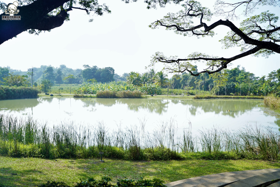 岡山羊肉 大崗山 小崗山 蜂蜜 伴手禮 旅遊 好吃 豆瓣醬 崗山之眼