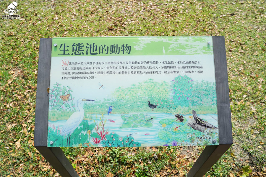 岡山羊肉 大崗山 小崗山 蜂蜜 伴手禮 旅遊 好吃 豆瓣醬 崗山之眼