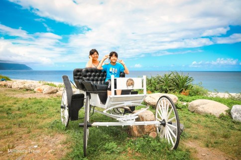 花蓮景點｜崇德瑩農場：免費入園無敵海景超美拍！可愛動物牧場/餐飲/露營車玩樂趣